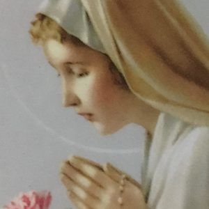 Meet your Posher, Carmen